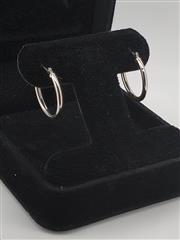 Gold Earrings 14K White Gold 0.84g